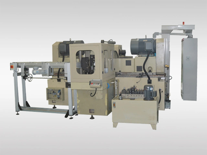 Through Type Double Disc Grinding Machine