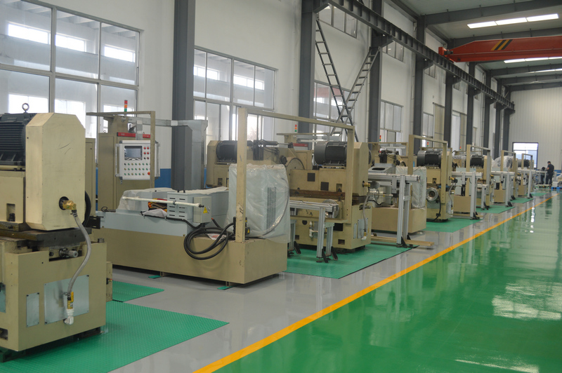 Automatic Double Disc Grinding Machine Automatic Double Disc Grinding Machine